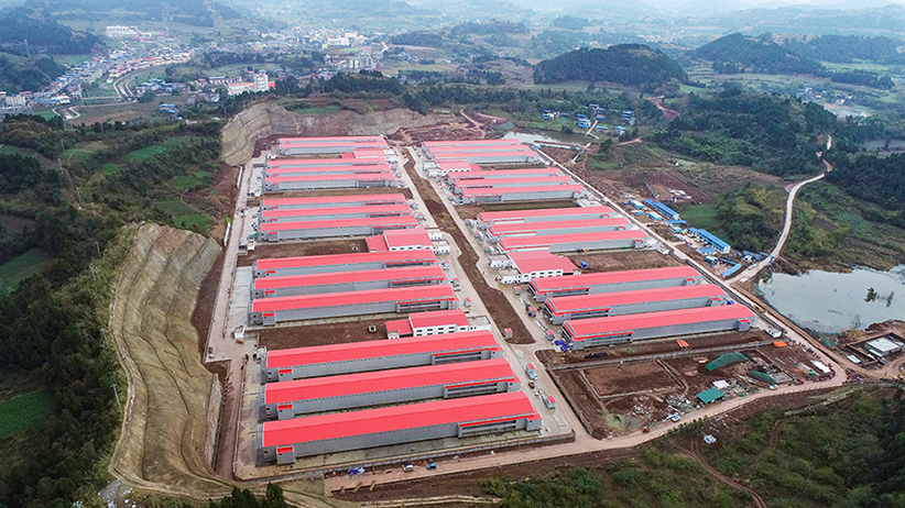 【轉(zhuǎn)型發(fā)展工作動態(tài)之一】黨建引領(lǐng)服務鄉(xiāng)村振興